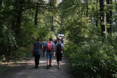 Waldspaziergang am 4. September 2021