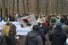 Demo am 2. Januar 2022. Waldspaziergang.