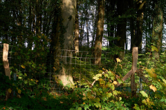 Diese westlich des Milchweges gelegene, nahe dem Wanderparkplatz Hermgesberg gelegene, 20 ha große Waldfläche auf Haaner Stadtgebiet, ist bereits eingezäunt und könnte in den nächsten Jahren planmäßig für die Erweiterung der Halde vernichtet werden.