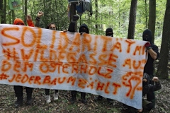 Solidarische Grüße  an die Wilde G(a)sse - eine im Jahre 2019 geräumte Baumbesetzung in Hamburg Wilhemsburg.