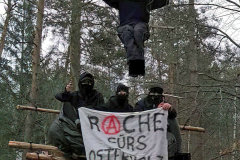 Soligrüße aus dem "Heibo bleibt"! (Waldbesetzung aus der Nähe von Dresden)