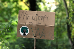 Waldspaziergang