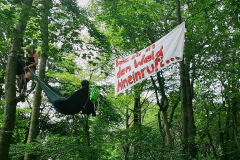 Transpi-Aktion am Rande des ersten Waldspazierganges am 30. Juni 2019