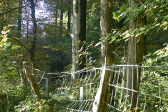 "Sag niemals nie" waren die Worte vom Geschäftsführer der Kalkwerke Oetelshofen auf die Frage, ob im Osterholz weiterer Wald gerodet wird.