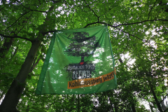 Solidarität mit dem Hambacher Wald, inzwischen nur noch 500 ha groß. Eine grüne Oase von Braunkohletagebau und Monokulturen umgeben. Seit 2012 ist der Wald besetzt.